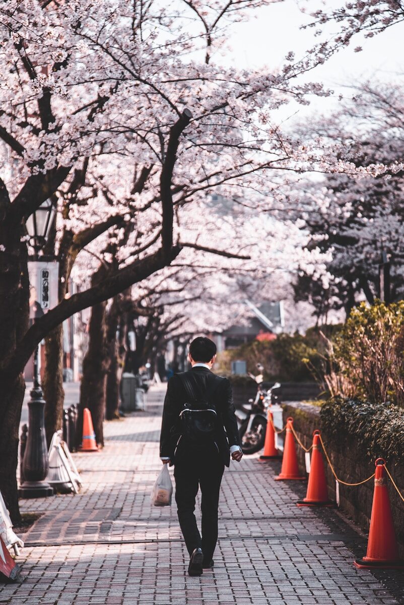 See the Cherry Blossoms — Tokyo, Japan
